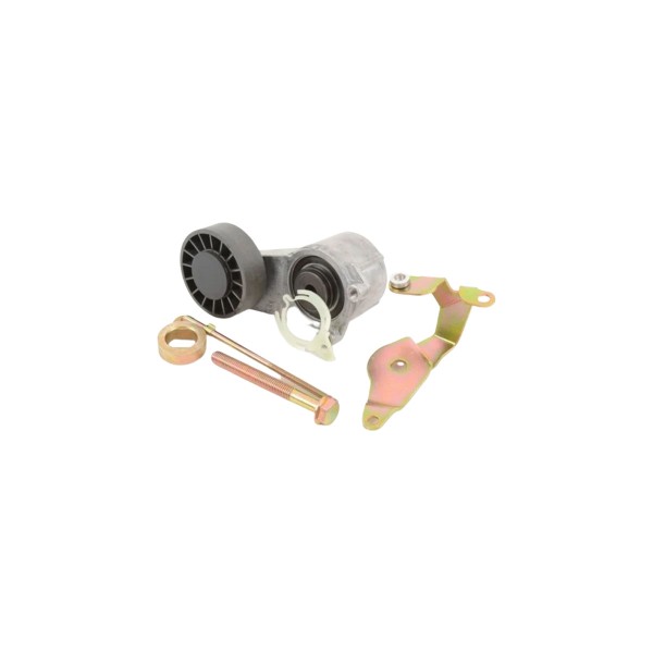 w201 Belt Tensioner