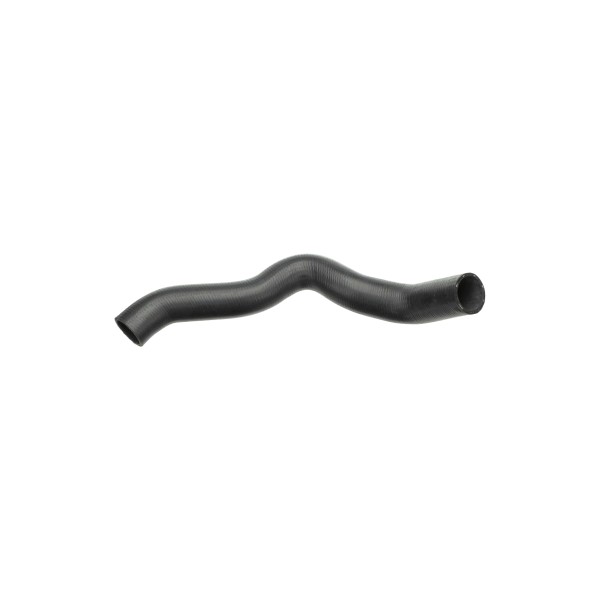 w210 Radiator Hose Bottom